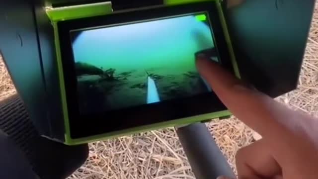 Fishing to get unique and expensive fish species