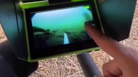Fishing to get unique and expensive fish species