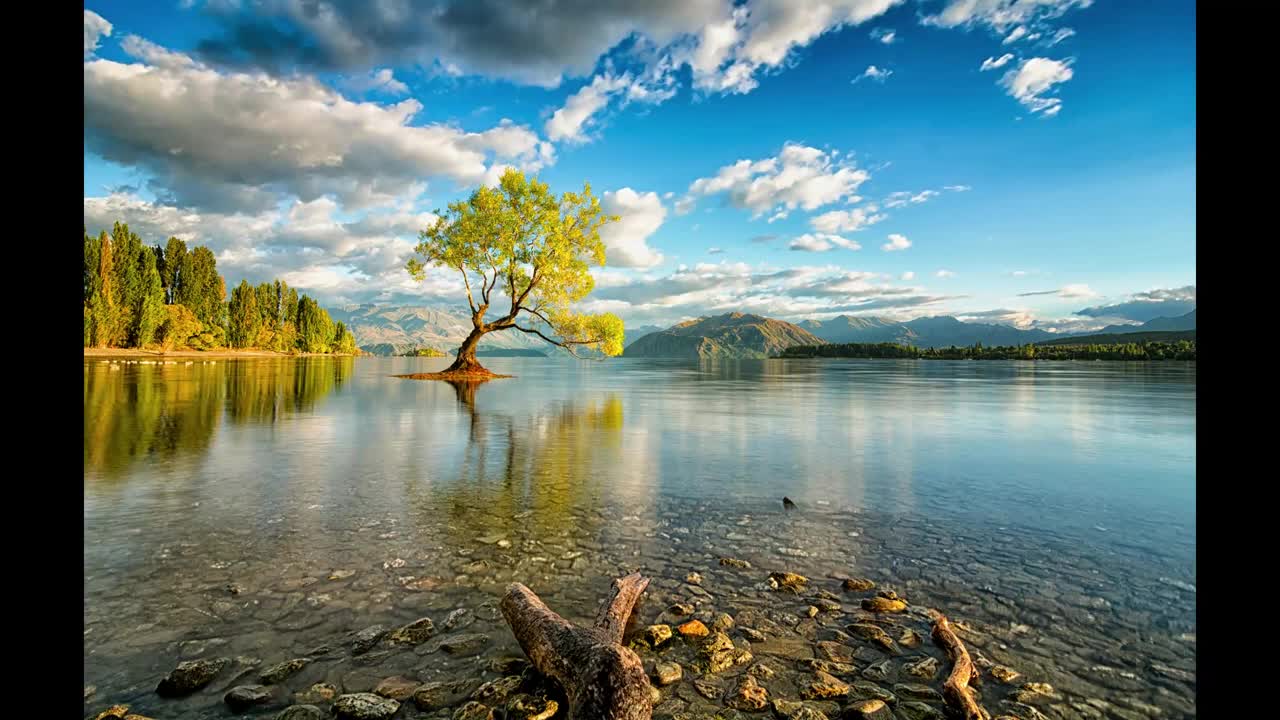 ADHD RELIEF MUSIC, DIEP FOCUS MUSIC & STUDY MUSIC