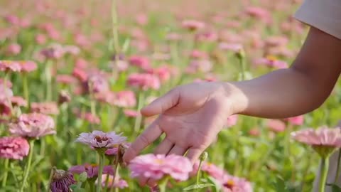 Blooming Flowers