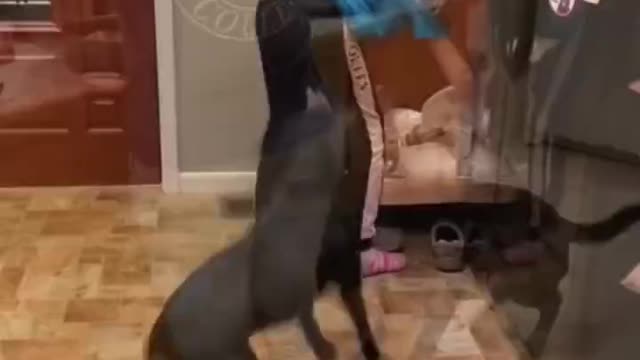 He always gets very excited when it's time to eat