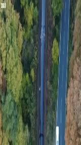 **Man Dies in Low-Speed Train Collision in Wales; 15 Injured**