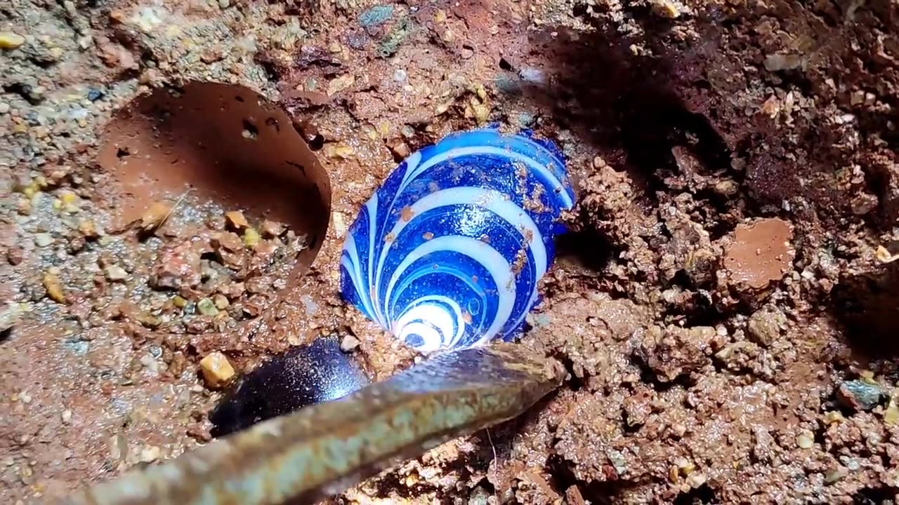 Water in rocks undergoes tens of thousands of years of pressure to form crystals