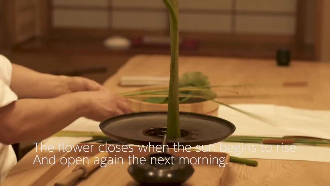 Japanese flower arrangement lotus flower Japanese traditional restaurant Michelin two stars