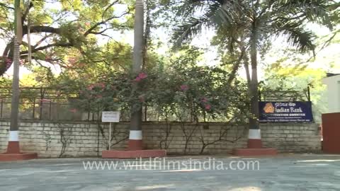 Film and Television Institute of India (FTII), Pune