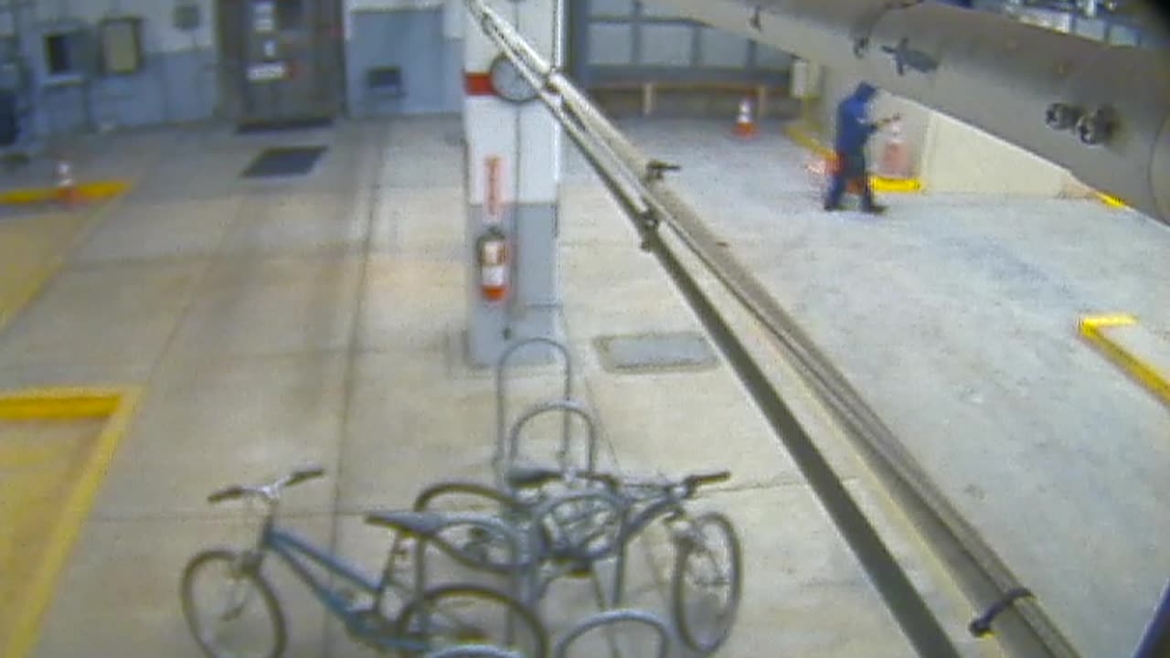 3134RHOBG2GarageEntrance_2021-01-05_00h20min00s500ms.mp4