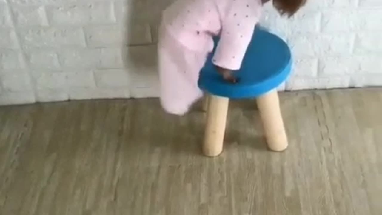 Look how smart pets are 🐕 🐈 😻 🐈⬛️ 😺 🐱