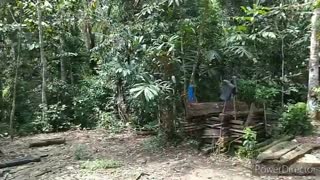 interior of the Dayak tribe of Kalimantan