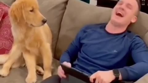 Pet prank 😁😂