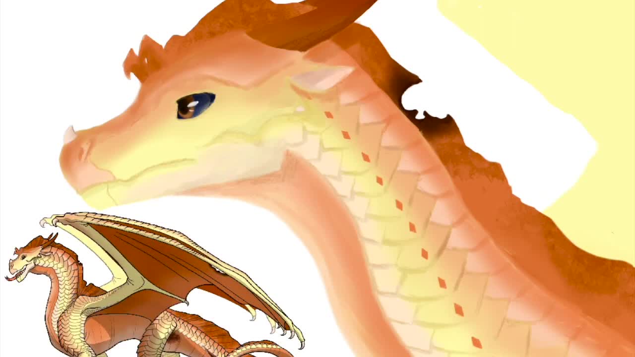 htyu ijhjkyt87 uiulyuir69b8oy ur