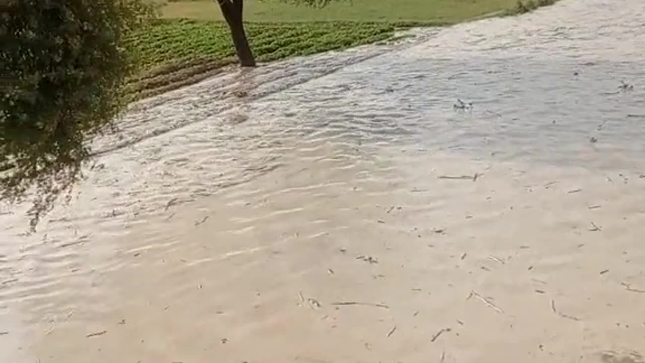 Sutlej River over flow and water come to homes Pakistan Punjab to much lose