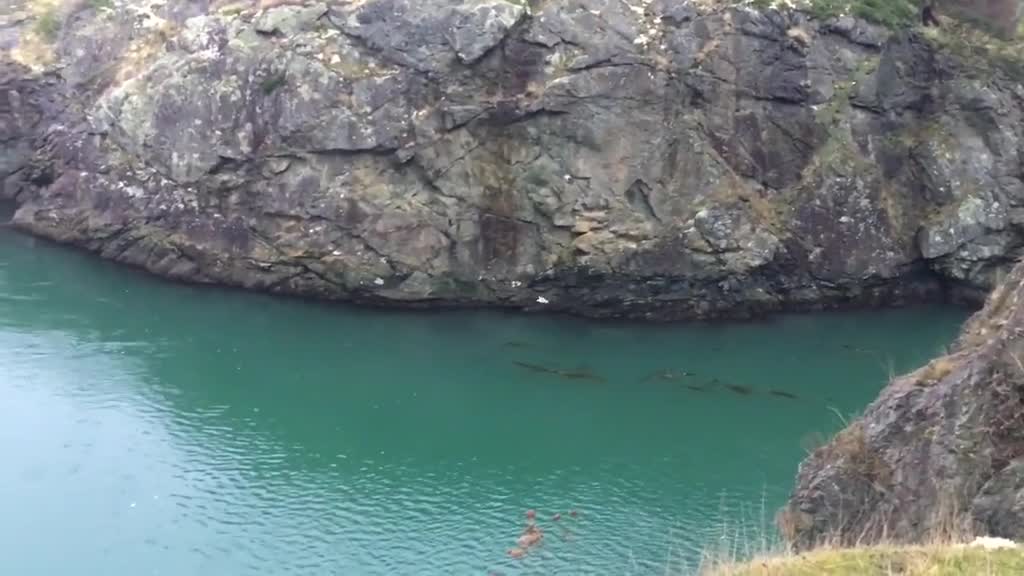 Deception Pass State Park, WA 1st time catching this on camera