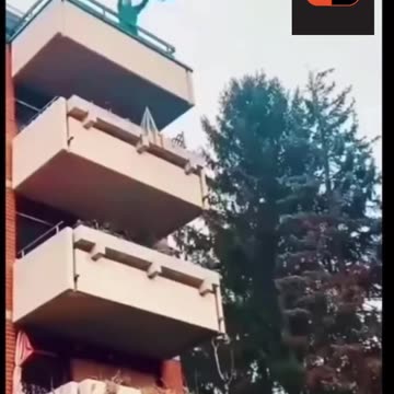 Series 3 Episode 104 #funnyreels #funnyvideos #failscompilation #fails