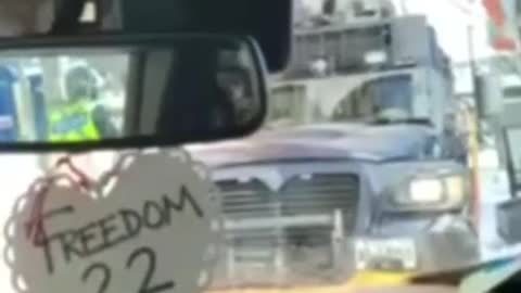 Police smash truckers windows