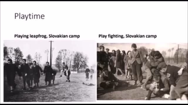 German concentration camps PRE LIBERATION WW2