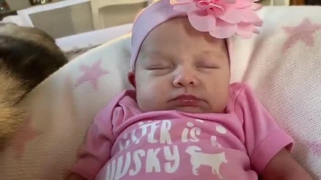 Husky Helps My Newborn Baby Smile For The First Time! [CUTEST VIDEO EVER!!]