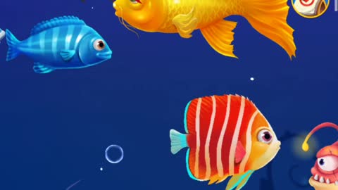 play with your aquarium