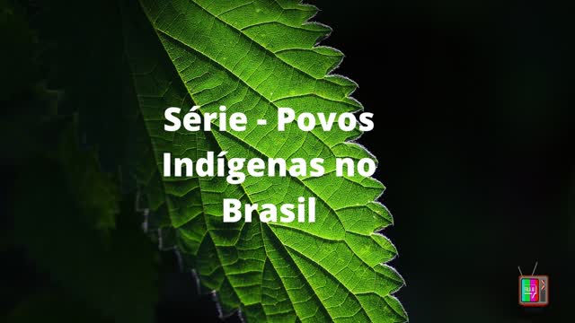 Série - Povos Indígenas no Brasil - Xetás