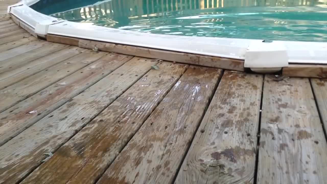 Epic Cats Hate Falling in Water