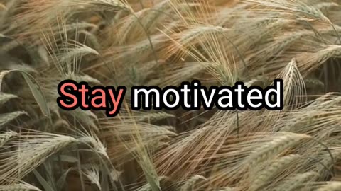 Find Your Inspiration with this Motivational Video | Keep Pushing Forward