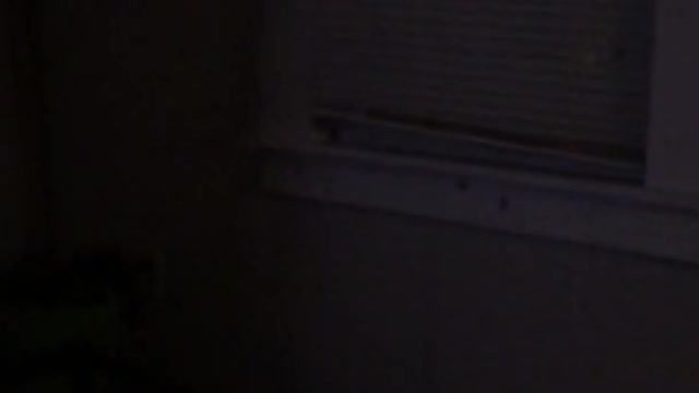 Cat Pushes Down Lamp While Climbing On Curtain Blinds Through IT