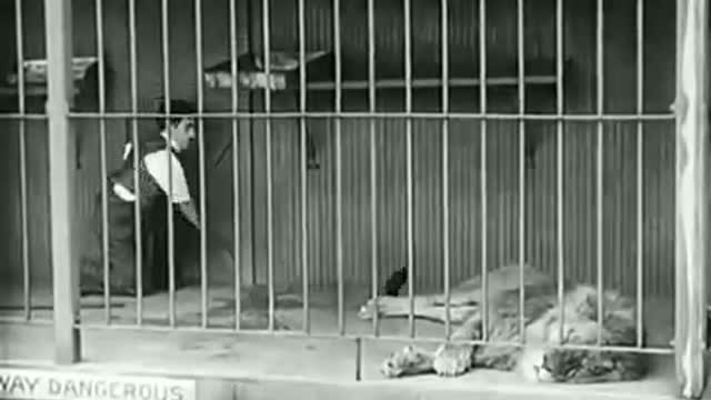 Charlie Chaplin - The Lion's Cage