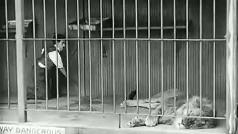 Charlie Chaplin - The Lion's Cage