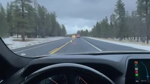 Driving in snowy woods