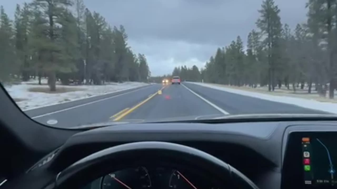 Driving in snowy woods
