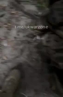 Another Group of Russian Soldiers Surrender