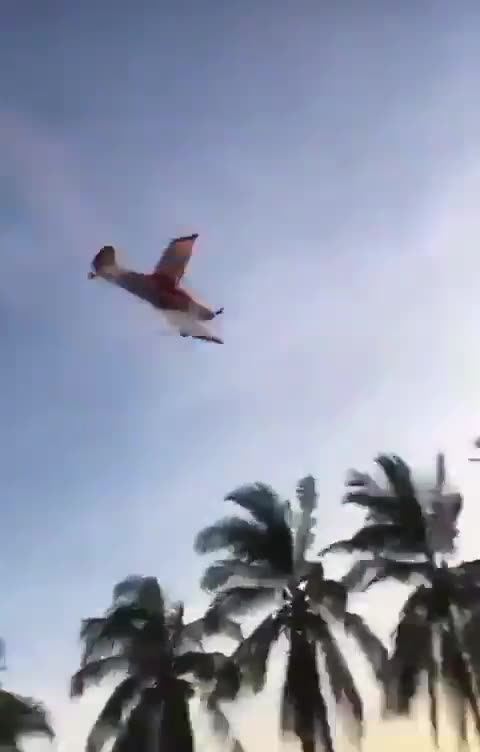 Chá revelação termina em tragédia com queda de avião