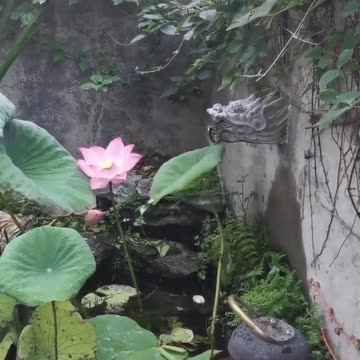 I swear you've never seen nature like this before