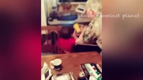 Funny videos animals।।😂🤣🤣🤣