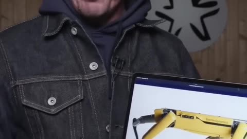 Dealing with robot dogs!