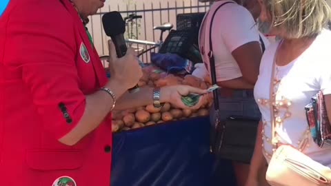 CANDIDATO LISO E INDEPENDENTE