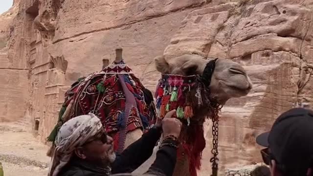 17 wonders of the world ✔️ Day in PETRA