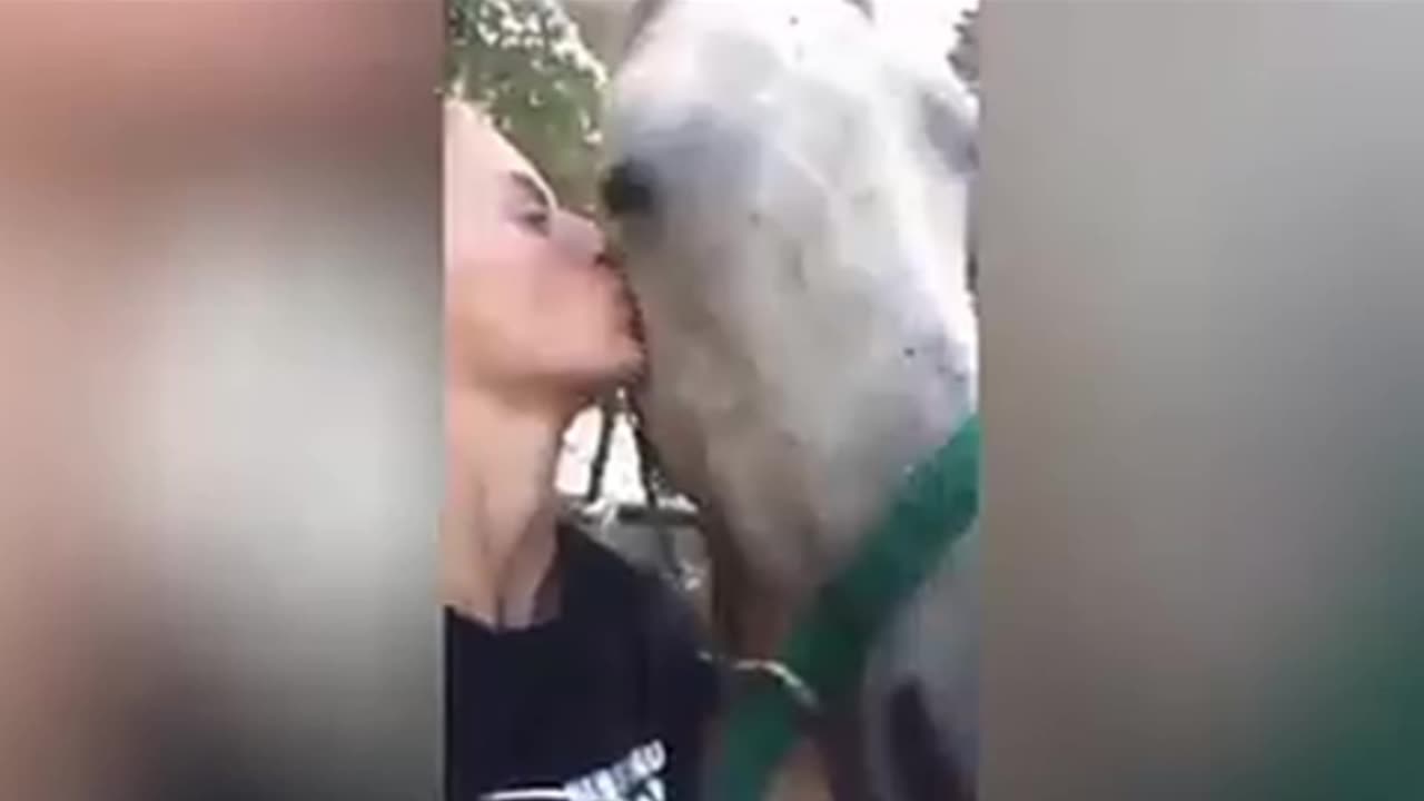 Girls Vs horse 🐴