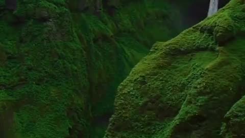 😍Paragliding into Iceland canyons!🪂
