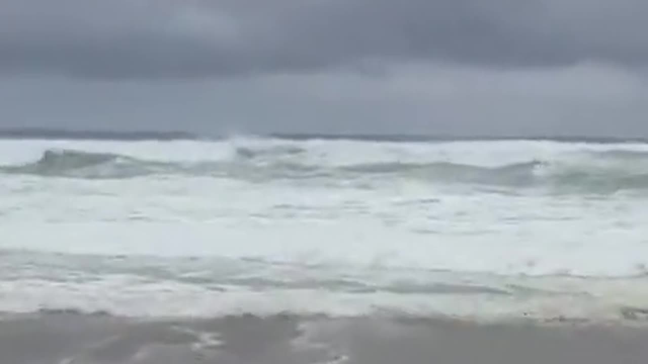 He-Waited-for-his-brother--sea-lions-part 5+