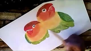 Drawing Love Birds