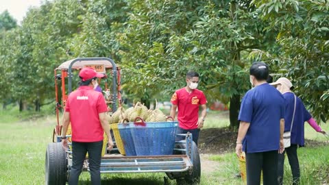 แม็คโครเคียงข้างเกษตรกรไทย : เกษตรกรสวนทุเรียน จังหวัดจันทบุรี