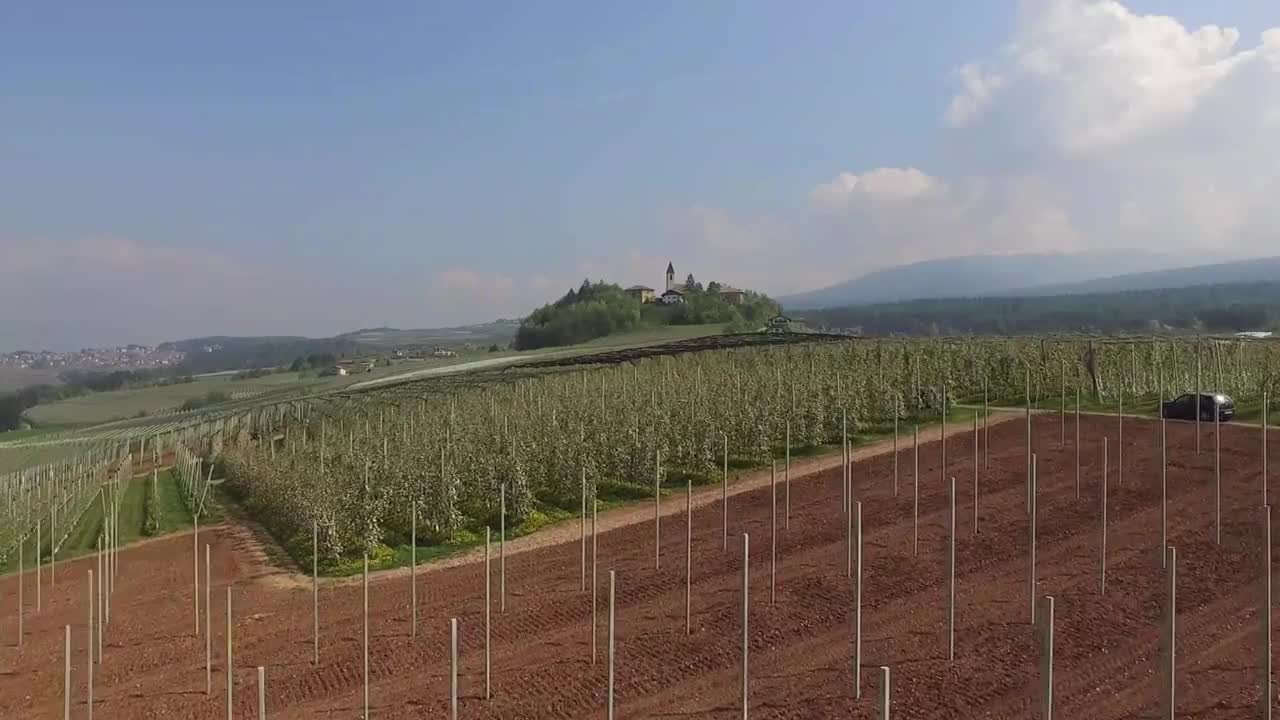 Marco Bisoffi - preparazione impianti per frutteti