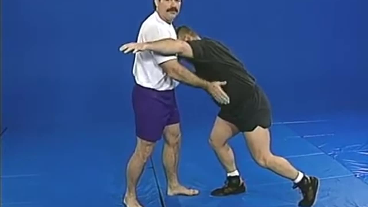 Don Frye Predator Volume 11 Devastating Submission Techniques