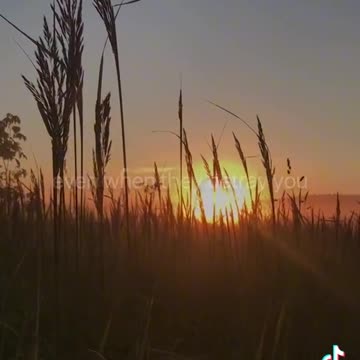 ENCOURAGED BY CHRIST - DAILY DEVOTIONAL ❤️