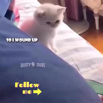 Follow me for MORE in the BIG4- Youtube,TikTok,Facebook and here