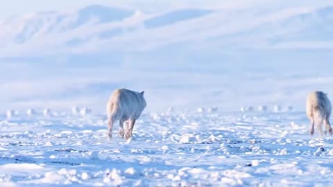 How to make amazing 🤩 do it for me 💖 to make r