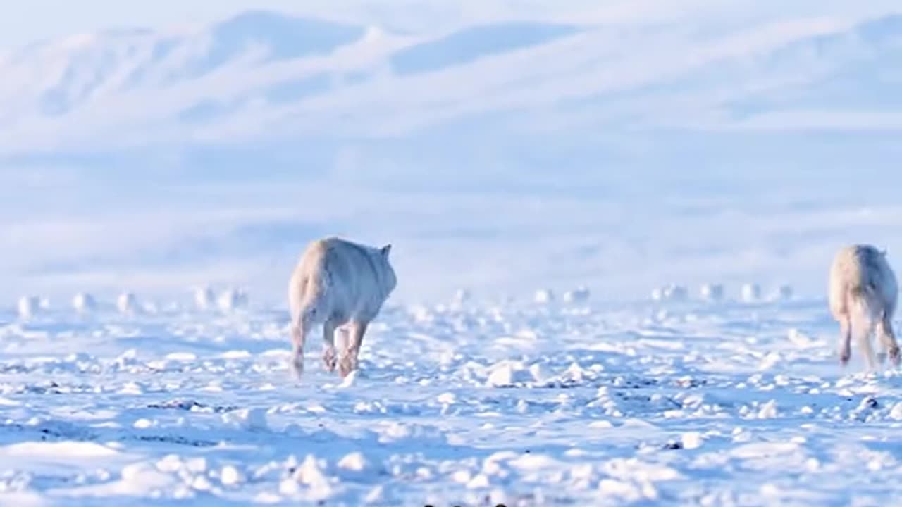 How to make amazing 🤩 do it for me 💖 to make r