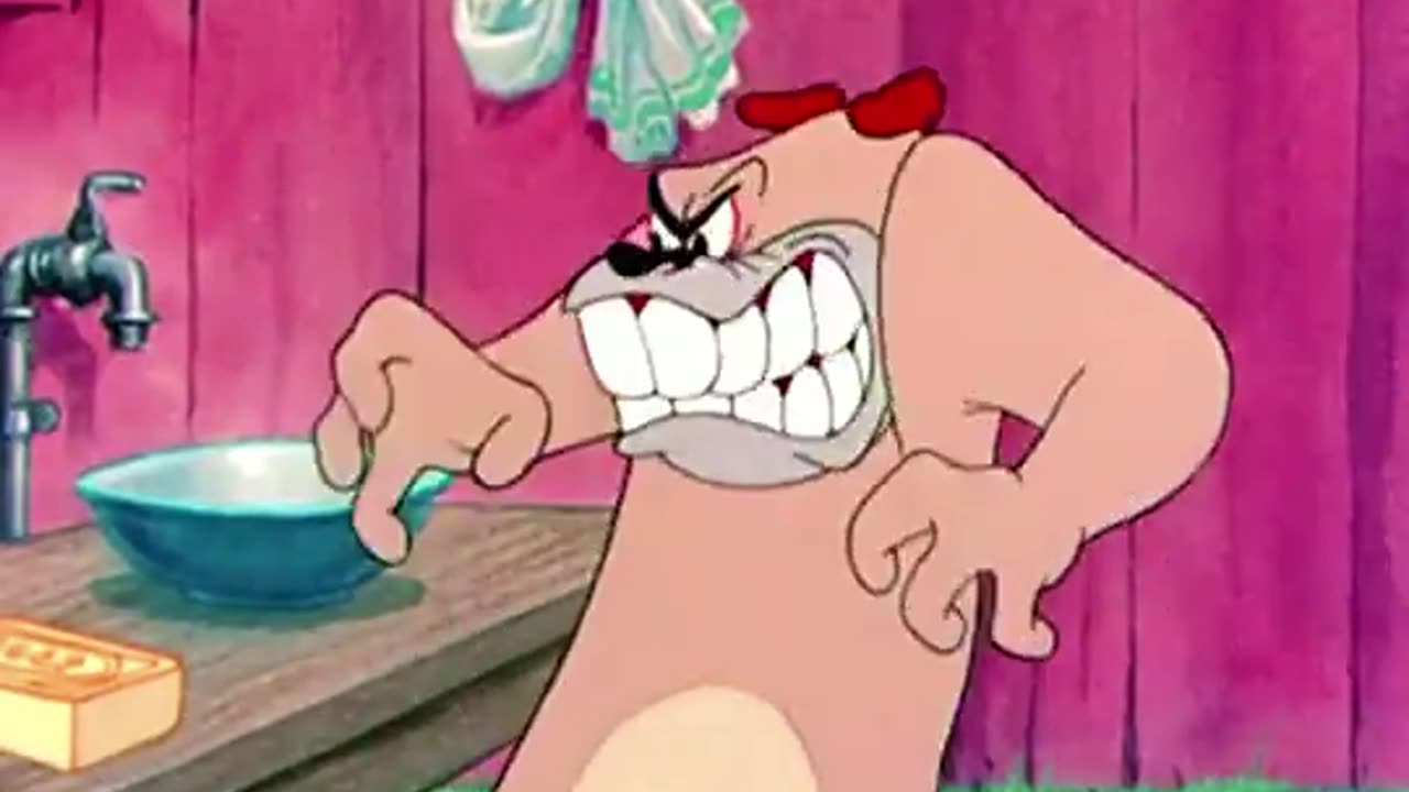 Best Funny cartoon