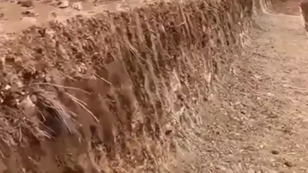 CRC vídeos curiosos