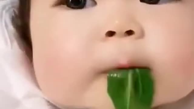 Beautiful baby video